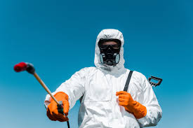 Real Estate Pest Inspections in Maria Stein, OH